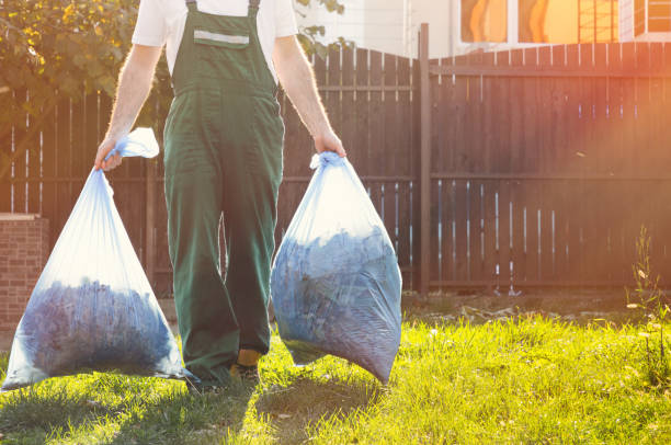 Yard Cleanup Services in Hico, TX